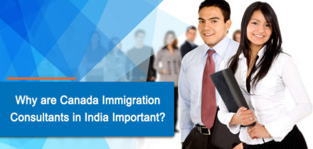 Why are Canada immigration consultants in India important